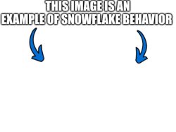 This image is an example of snowflake behavior Meme Template