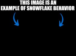 This image is an example of snowflake behavior dark mode Meme Template