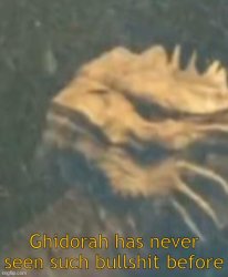 Ghidorah has never seen such bullshit before Meme Template