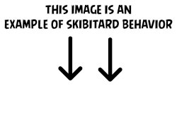 This image is an example of skibiditard behavior Meme Template