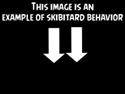 This image is an example of skibitard behavior darkmode Meme Template