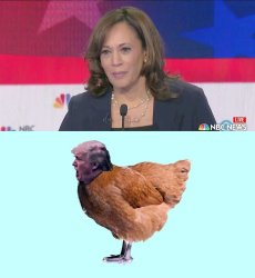 Kamala Harris and chicken shit Donald Trump Meme Template