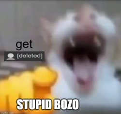 get deleted stupid bozo Meme Template