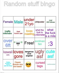 Random Stuff Bingo Meme Template