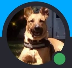 Sickdawg#2 Meme Template