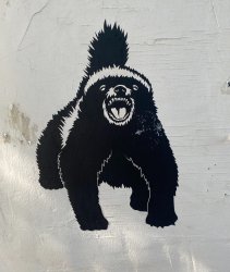 honeybadger Meme Template