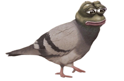 Pigeon Pepe Meme Template