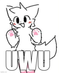 BoyKisser n' socks: UwU Meme Template