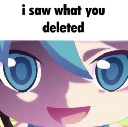 mikudayo saw what you deleted Meme Template