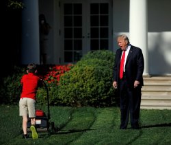 trump on lawn Meme Template