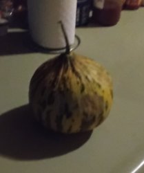 Melon Meme Template