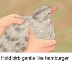 hold gentle like hamburger Meme Template