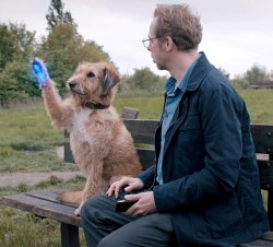 absolutely anything Meme Template