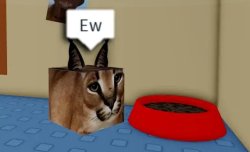 Floppa cube say "Ew" to this red bowl Meme Template