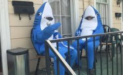 Shark costumes Meme Template