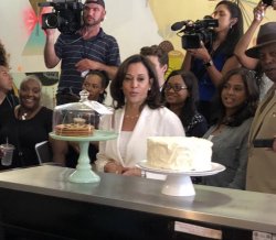 Kamala cake Meme Template