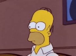 Simpsons Homer blank stare Meme Template