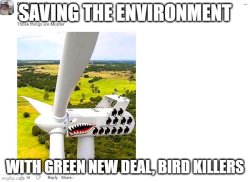 Bird Killer Hypocrites Meme Template
