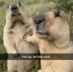 Let him cook Meme Template