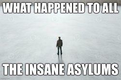 What happened to all the insane asylums Meme Template