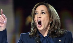 willie Meme Template