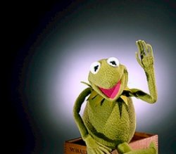 Kermit Meme Template