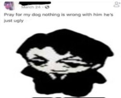 Ugly Dog Meme Template