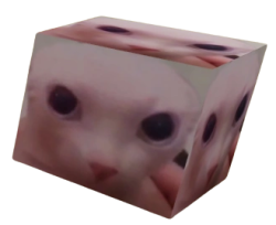 Bingus Cube Meme Template