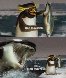 Bob Maverick Meme Template