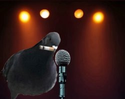 Pidgeon Stand-Up Meme Template