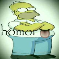 homer Meme Template