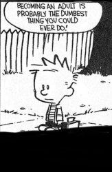 Calvin and hobbes Meme Template