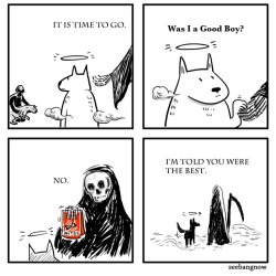 Was I a Good Boy? Meme Template
