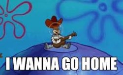 Sandy Cheeks Home Meme Template