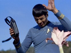 Spock Flowers Meme Template