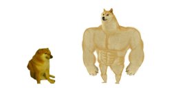 Small Dog vs Chad Dog Meme Template