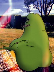 groyper cozy Meme Template