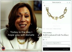 Kamala needs more money to spend at Tiffany Meme Template