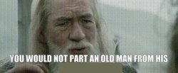 Gandalf Walking Stick Meme Template