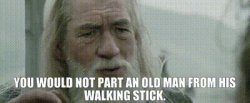 gandalf walking stick meme Meme Template