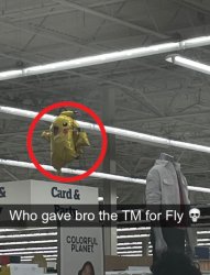 Who gave bro the tm for fly Meme Template