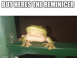 Frog reminicer Meme Template