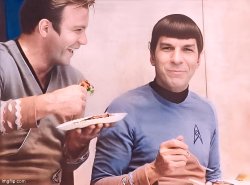 Kirk & Spock on break Meme Template