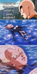 Vegeta of the Lake 3-Panel Meme Template