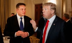 Musk Trump Meme Template