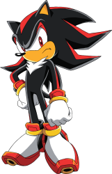 Shadow the Edgelord Hedgehog (Sonic X anime) Meme Template