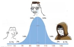 Novice vs OG chad Meme Template