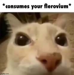 Yakko consumes your flerovium (better) Meme Template