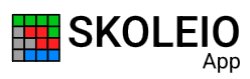 SKOLEIO App Logo Meme Template