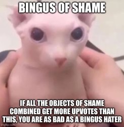 Bingus of shame Meme Template